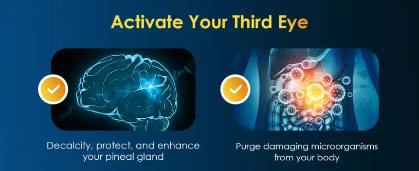 What is Pineal XT